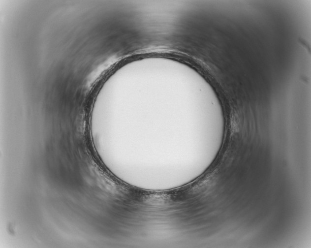 X0000103941406200810031311