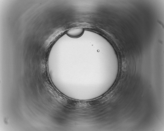 X0000103941407200810031311