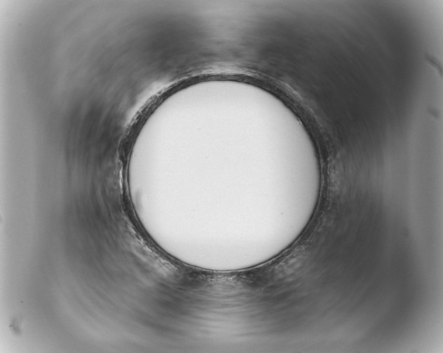 X0000103941408200810031311