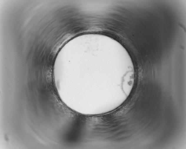 X0000103941409200810031311