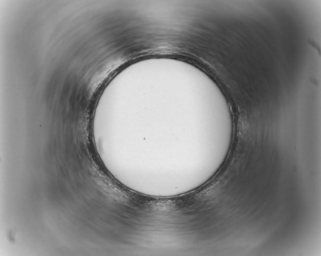 X0000103941410200810031312