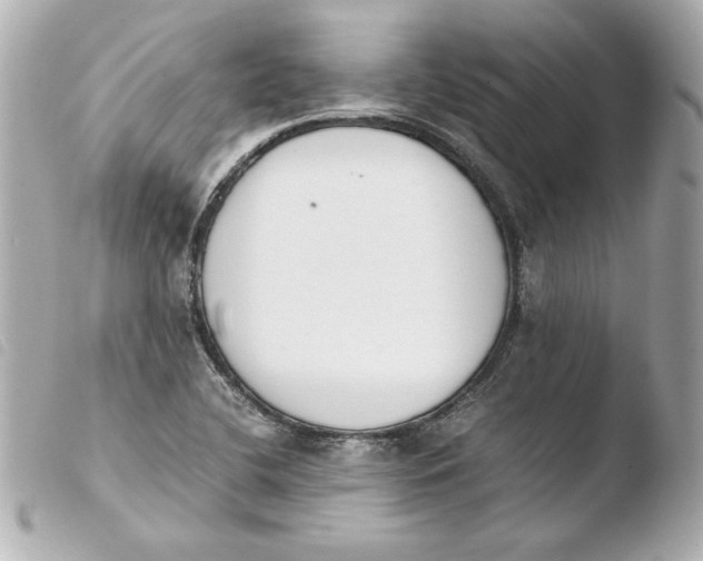 X0000103941412200810031312