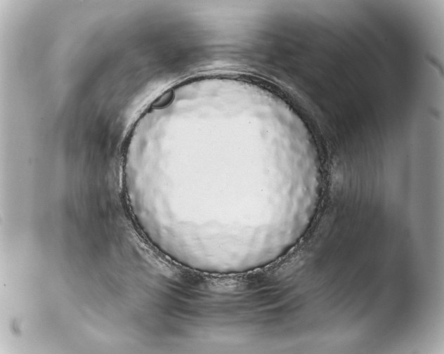 X0000103941413200810031312