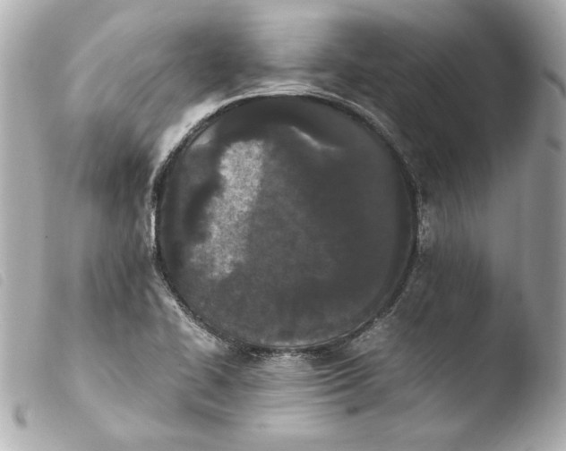 X0000103941414200810031312