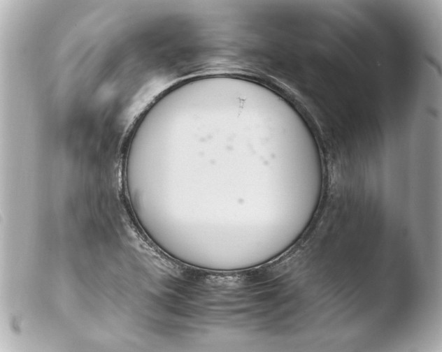 X0000103941415200810031312