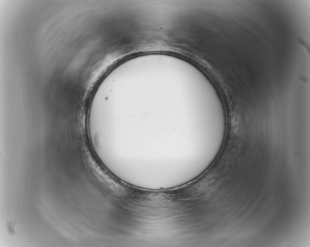 X0000103941416200810031312