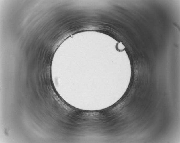 X0000103941417200810031312