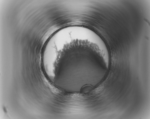 X0000103941418200810031312