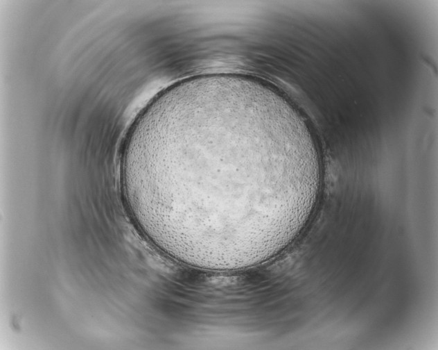 X0000103941419200810031312