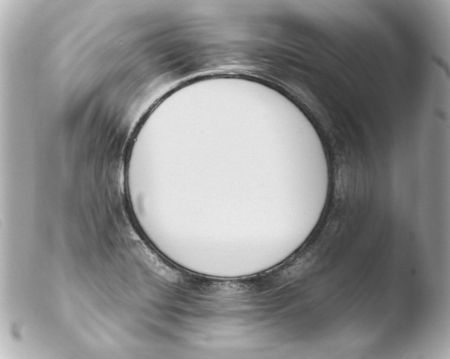 X0000103941420200810031312