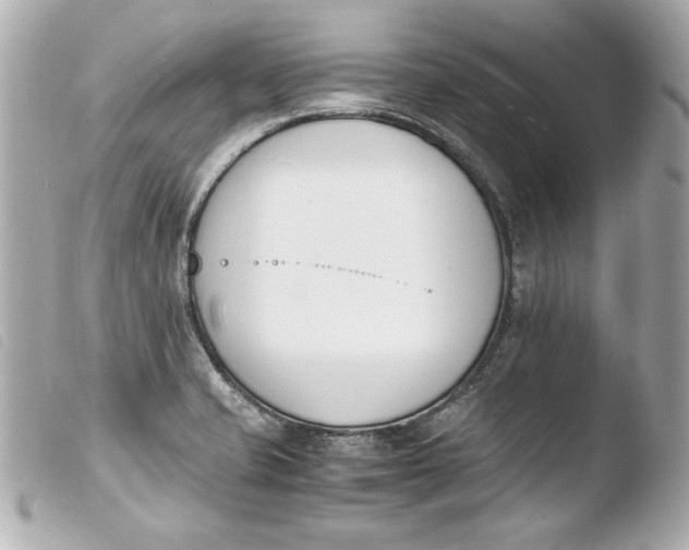 X0000103941421200810031312