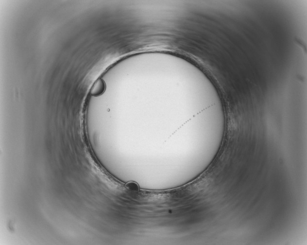 X0000103941423200810031312