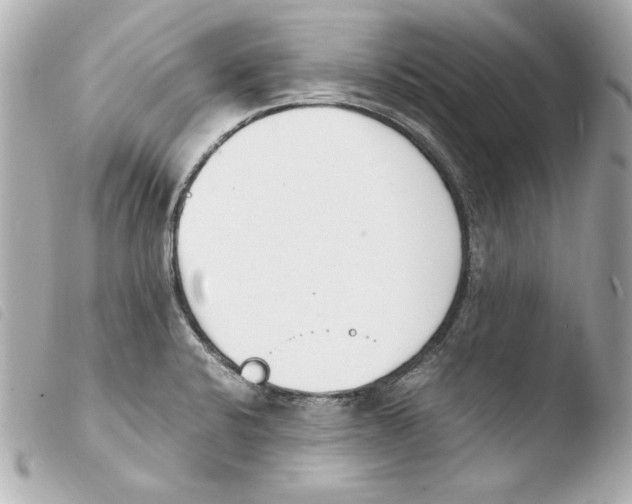 X0000103941424200810031312