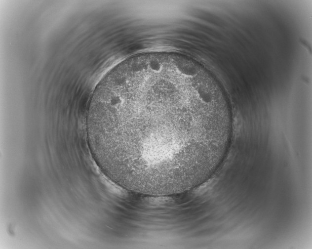 X0000103941425200810031312