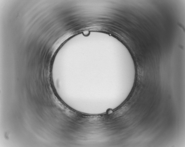 X0000103941426200810031312