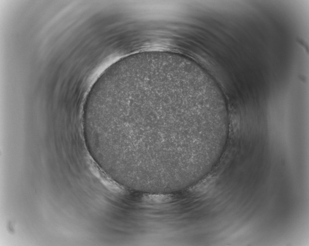 X0000103941427200810031312