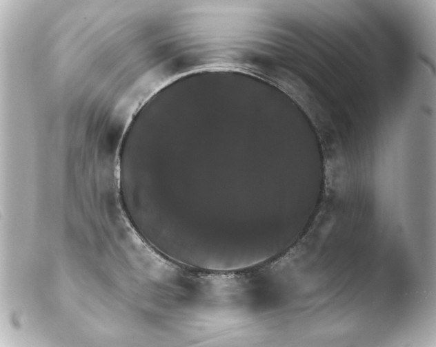 X0000103941428200810031312