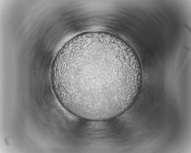 X0000103941429200810031312