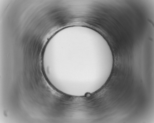 X0000103941430200810031312