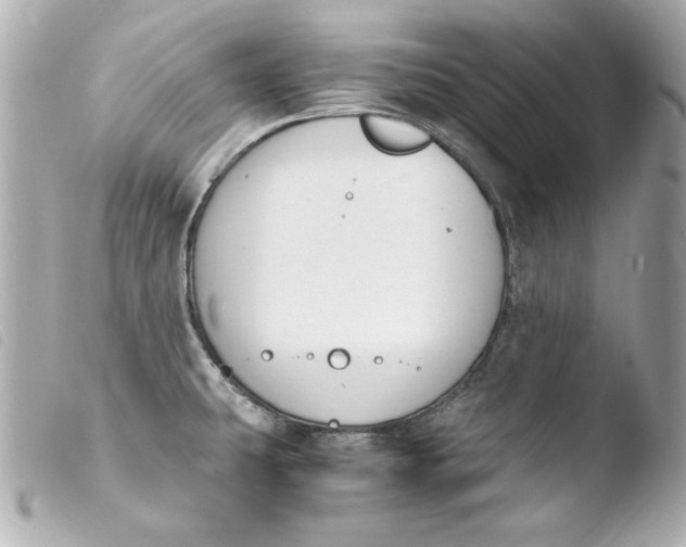 X0000103941431200810031312