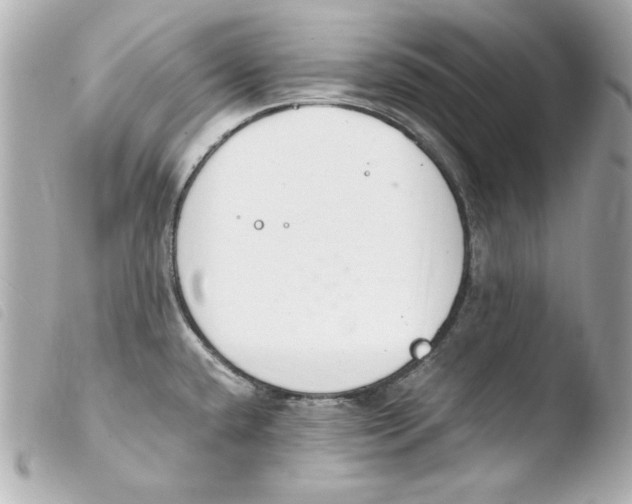 X0000103941432200810031312