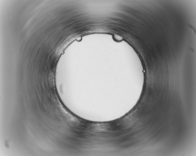 X0000103941433200810031312