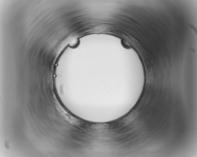 X0000103941434200810031312