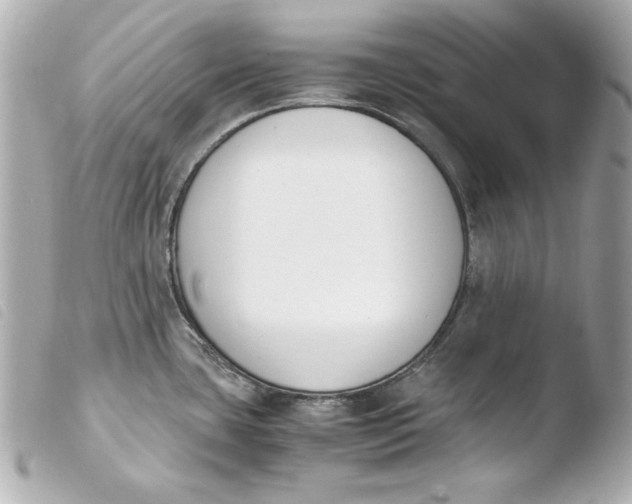 X0000103941435200810031312