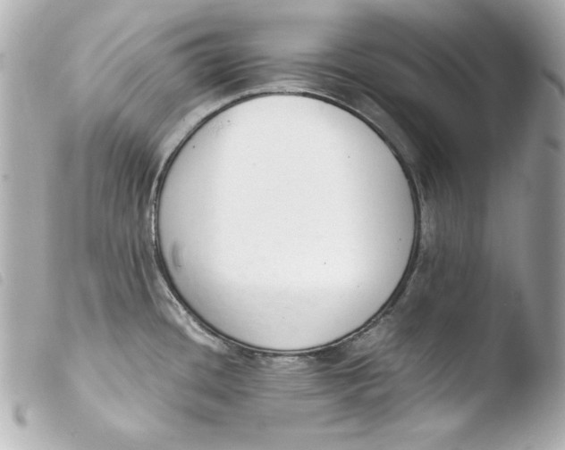 X0000103941436200810031312