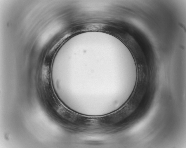 X0000103941438200810031312