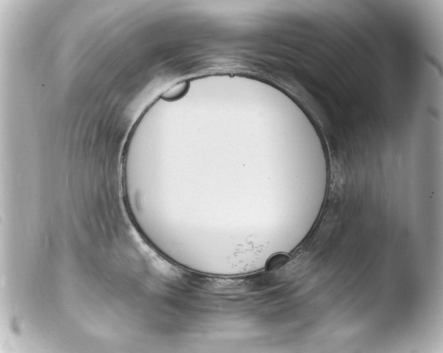 X0000103941439200810031312