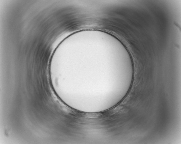 X0000103941440200810031312