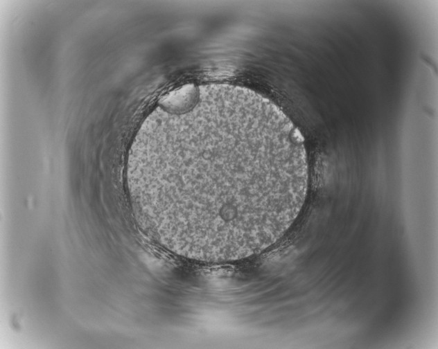 X0000103941441200810031311