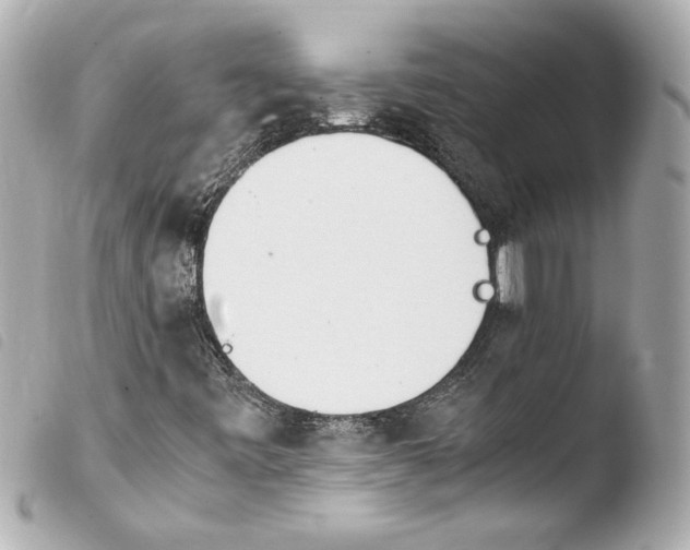 X0000103941443200810031311