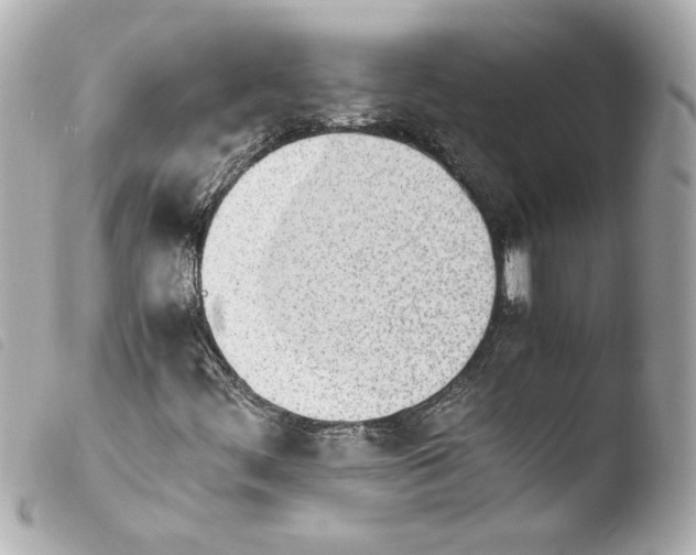 X0000103941444200810031311