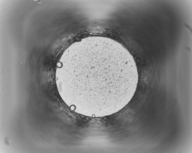 X0000103941445200810031311