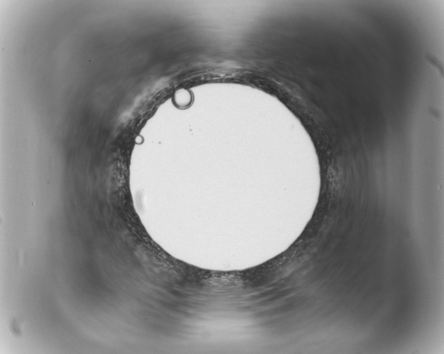 X0000103941447200810031311