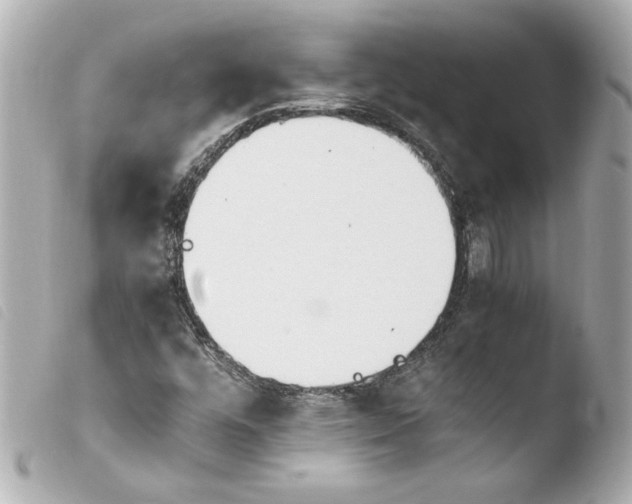 X0000103941448200810031311