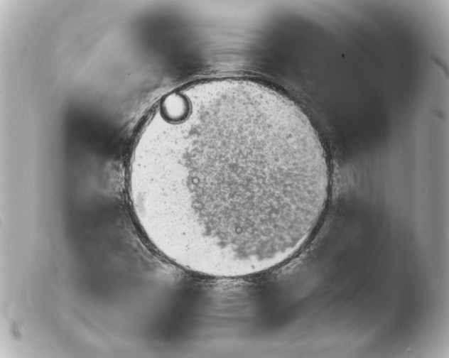 X0000103941449200810031311