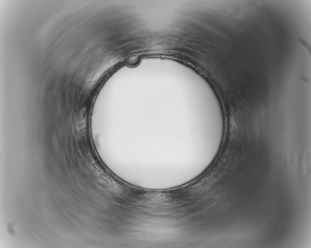 X0000103941450200810031311