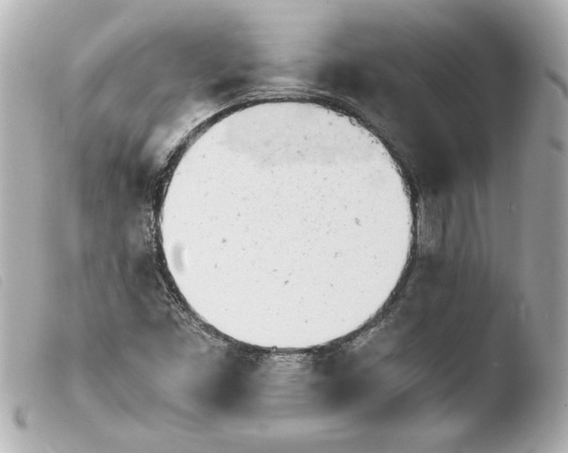 X0000103941453200810031311