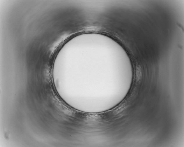 X0000103941454200810031311