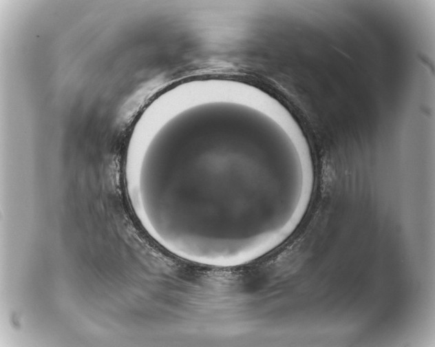 X0000103941455200810031311