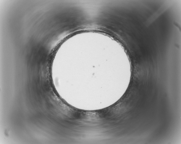 X0000103941456200810031311