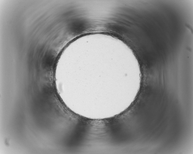 X0000103941457200810031311