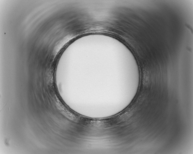 X0000103941458200810031311