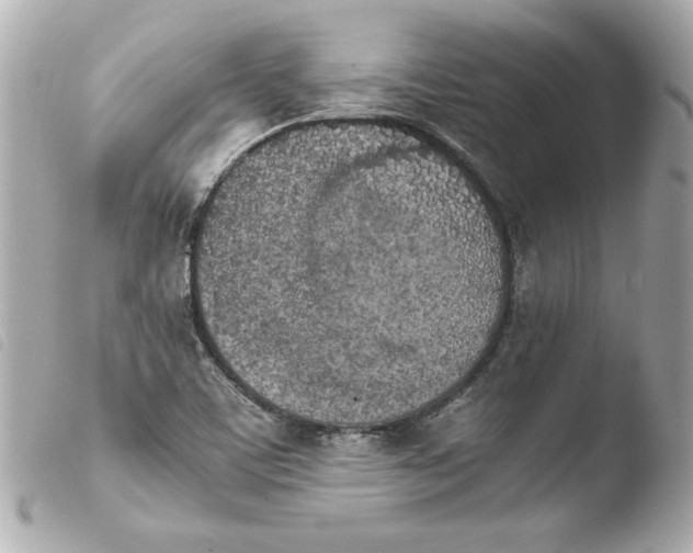 X0000103941459200810031311