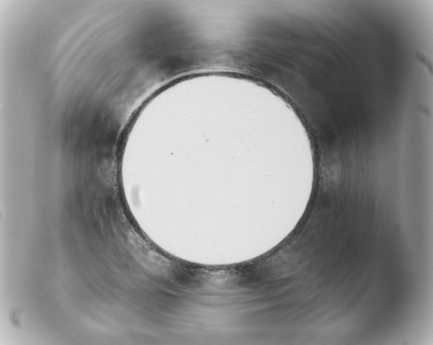 X0000103941460200810031311