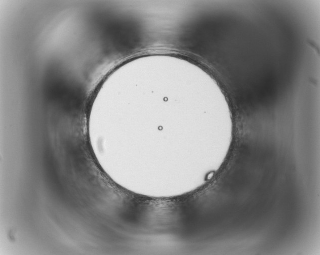 X0000103941461200810031311