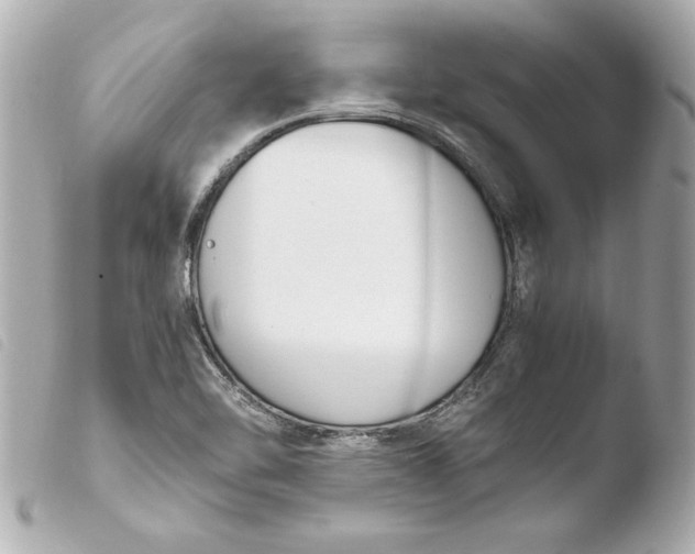 X0000103941462200810031311